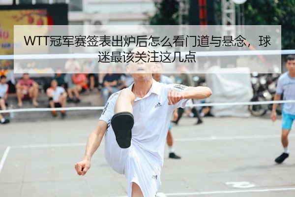 WTT冠军赛签表出炉后怎么看门道与悬念，球迷最该关注这几点